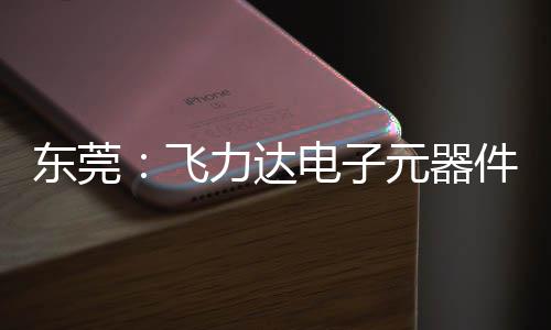 投用件智元器应链飞，服东莞电子慧枢力达务湾纽在沙田区供